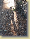 Hiking-Woodside-Oct2011 (2) * 2736 x 3648 * (5.02MB)
